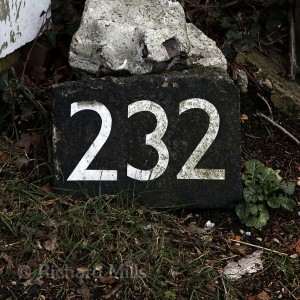 232-Burridge---April-2012-091-esq-sm-©
